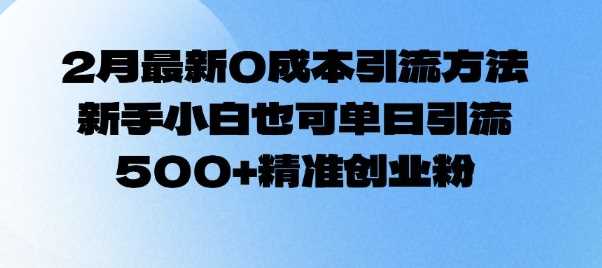 2月最新0成本引流方法,新手小白也可单日引流500+精准创业粉-轻创社项目网
