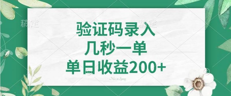 (14221期)验证码录入,几秒一单,单日收益200+-轻创社项目网