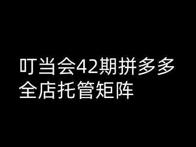 叮当会拼多多打爆班原创高阶技术第42期,拼多多全店托管矩阵-轻创社项目网