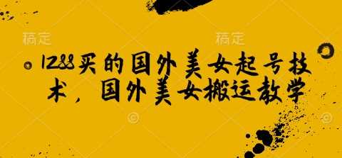 1288买的国外美女起号技术,国外美女搬运教学-轻创社项目网