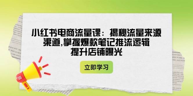 (14318期)小红书电商流量课:揭秘流量来源渠道,掌握爆款笔记推流逻辑,提升店铺曝光-轻创社项目网