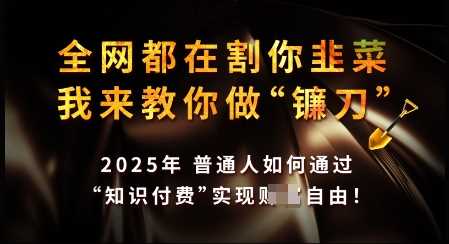 知识付费如何做到月入过W+,2025我来教你做“镰刀”【揭秘】-轻创社项目网