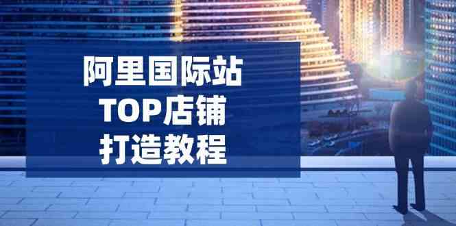 阿里国际站TOP店铺打造教程:涵盖平台到高阶,解决运营难题,提升询盘-轻创社项目网
