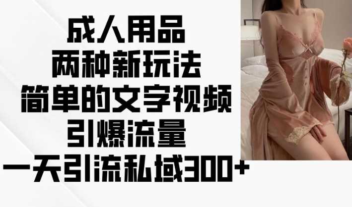 成人用品两种新玩法,简单的文字视频引爆流量,一天引流私域300+-轻创社项目网