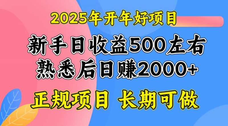 (14076期)2025开年好项目,单号日收益2000左右-轻创社项目网
