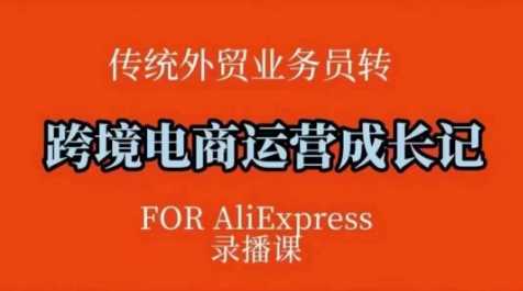 跨境电商速卖通运营课，?运营方法论+后台实操，逻辑清晰