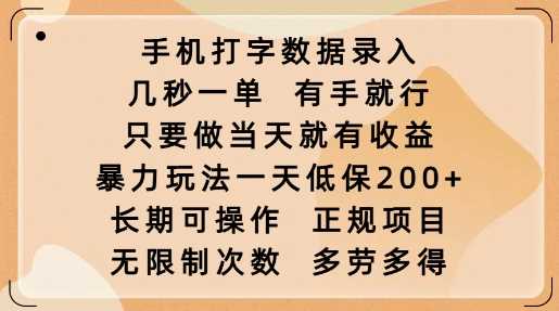 手机打字数据录入,几秒一单,有手就行,只要做当天就有收益,暴力玩法一天低保2张-轻创社项目网