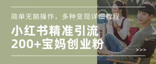 小红书混剪日引200+宝妈创业粉,简单无脑操作,多种变现详细教程-轻创社项目网