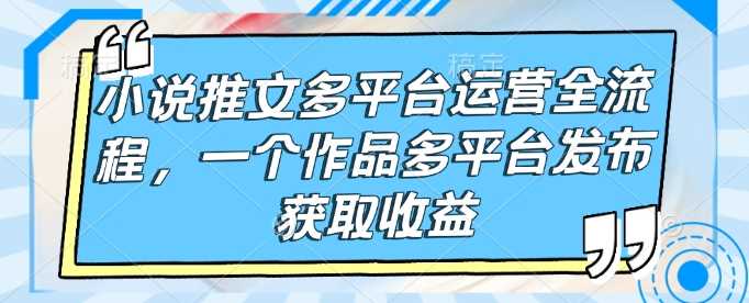 小说推文多平台运营全流程,一个作品多平台发布获取收益-轻创社项目网
