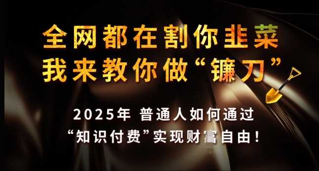 全网都在割你韭菜,我来教你做镰刀,2025年普通人如何通过 知识付费 实现财F自由【揭秘】-轻创社项目网