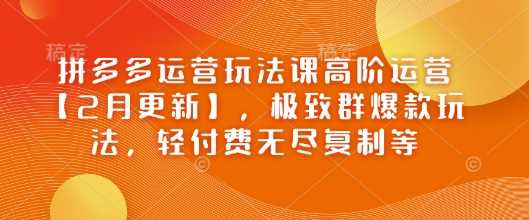 拼多多运营玩法课高阶运营【2月更新】,极致群爆款玩法,轻付费无尽复制等-轻创社项目网