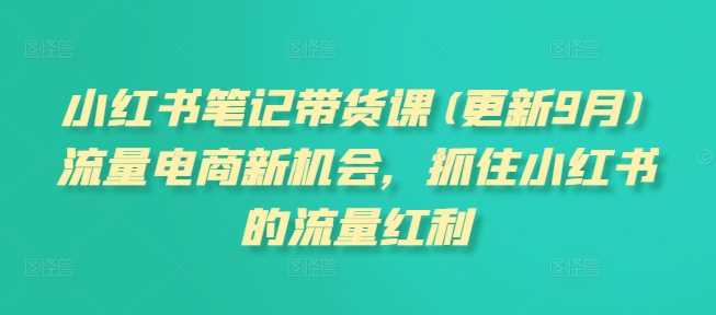 小红书笔记带货课(更新25年1月)流量电商新机会,抓住小红书的流量红利-轻创社项目网