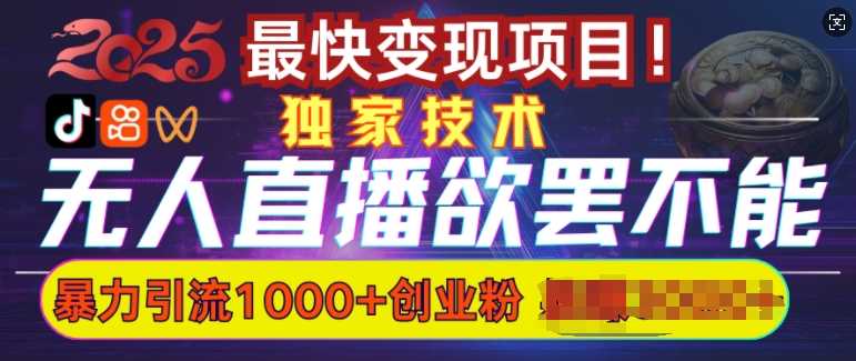 欲罢不能的无人直播引流,超暴力日引流1000+高质量精准创业粉-轻创社项目网