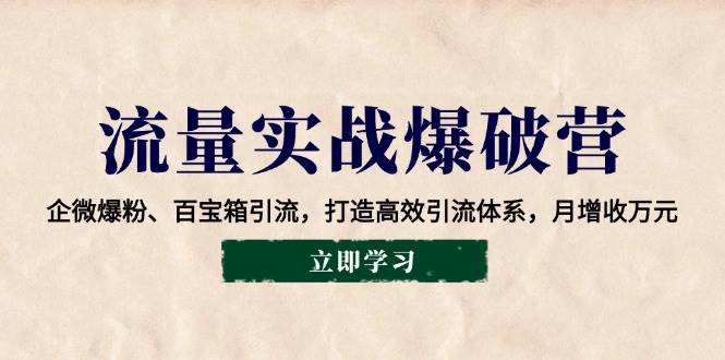(14039期)流量实战爆破营:企微爆粉、百宝箱引流,打造高效引流体系,月增收万元-轻创社项目网