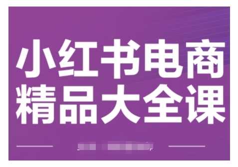 小红书电商精品大全课,快速掌握小红书运营技巧,实现精准引流与爆单目标,轻松玩转小红书电商-轻创社项目网