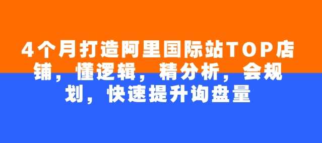 4个月打造阿里国际站TOP店铺,懂逻辑,精分析,会规划,快速提升询盘量-轻创社项目网