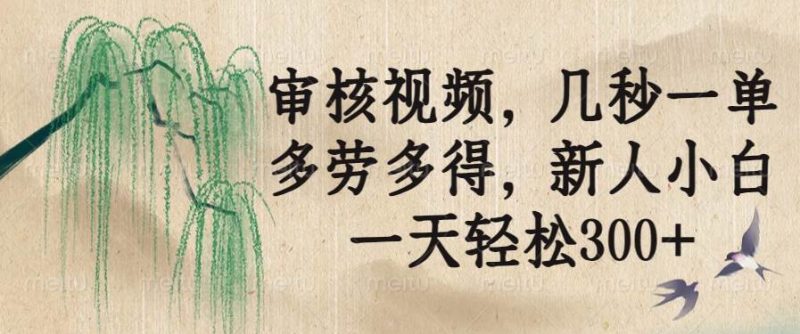 (14202期)审核视频,几秒一单,多劳多得,新人小白一天轻松300+-轻创社项目网