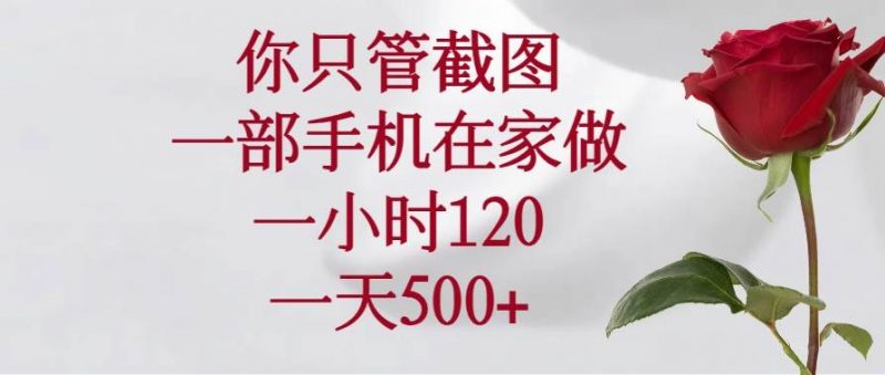 (14248期)你只管截图,一部手机在家做,一小时120,一天500+-轻创社项目网