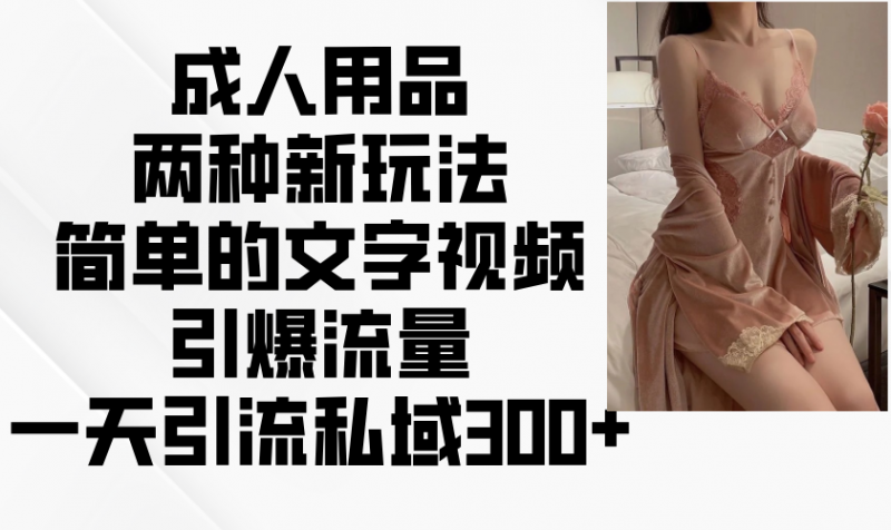 成人用品两种新玩法,简单的文字视频引爆流量,一天引流私域300+-轻创社项目网