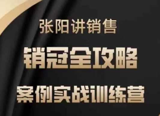张阳讲销售实战训练营,?案例实战训练,销冠全攻略-轻创社项目网
