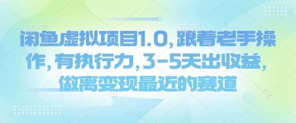 闲鱼虚拟项目1.0,跟着老手操作,有执行力,3-5天出收益,做离变现最近的赛道-轻创社项目网