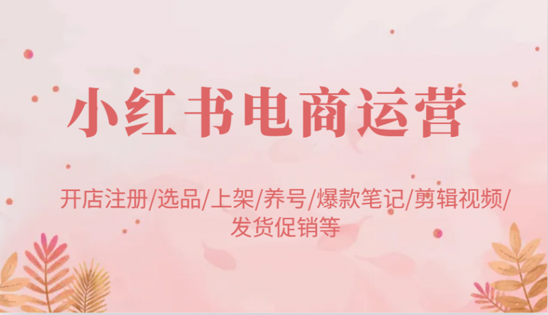 小红书电商运营:开店注册/选品/上架/养号/爆款笔记/剪辑视频/发货促销等-轻创社项目网
