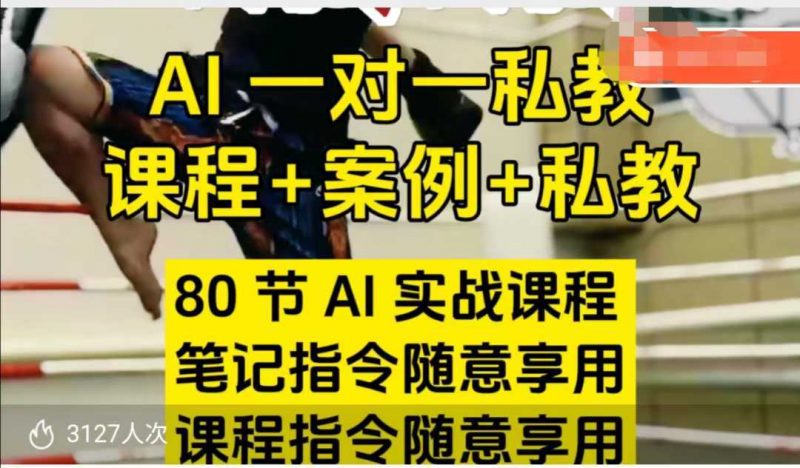 AI指令实战课,课程+案例,80节AI实战课程,笔记指令随意享用,课程指令随意享用-轻创社项目网