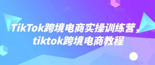 TikTok跨境电商实操训练营,tiktok跨境电商教程-轻创社项目网