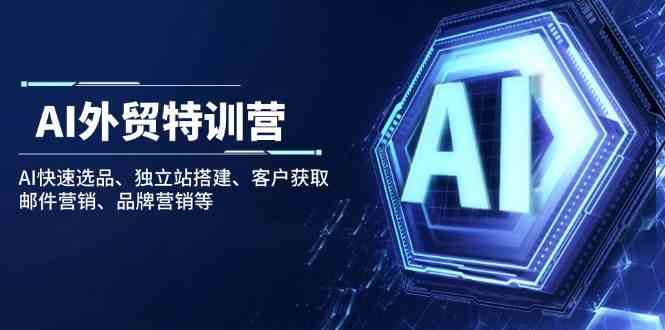AI外贸特训营:AI快速选品、独立站搭建、客户获取、邮件营销、品牌营销等-轻创社项目网