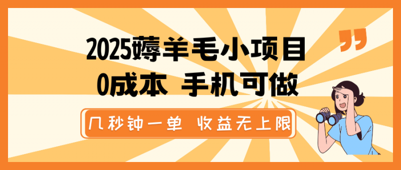 2025薅羊毛小项目,0成本 手机可做,几秒钟一单,收益无上限-轻创社项目网