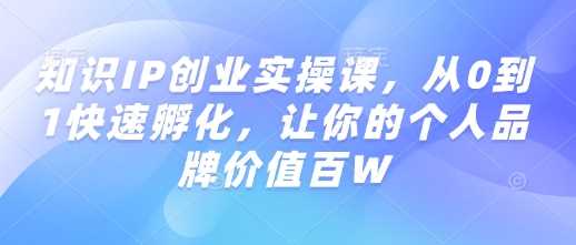 知识IP创业实操课,从0到1快速孵化,让你的个人品牌价值百W-轻创社项目网