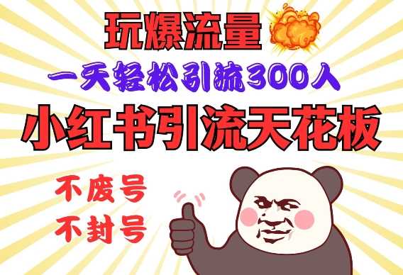 小红书引流天花板,玩爆流量,一天轻松引流300人,安全操作-轻创社项目网