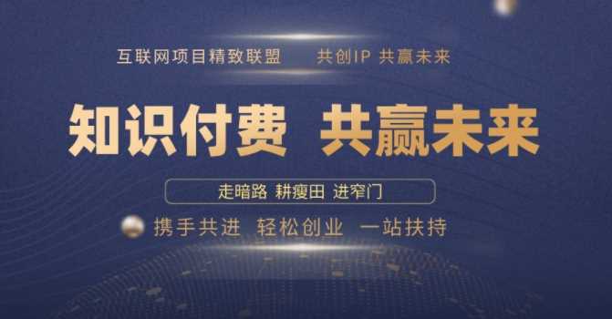 别人苦寻无果,为何他们靠知识付费卖项目 2025 年轻松年入100个?【揭秘】-轻创社项目网