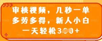 审核视频,几秒一单,多劳多得,新人小白一天轻松3张【揭秘】-轻创社项目网