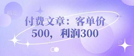 付费文章:客单价500,利润300-轻创社项目网
