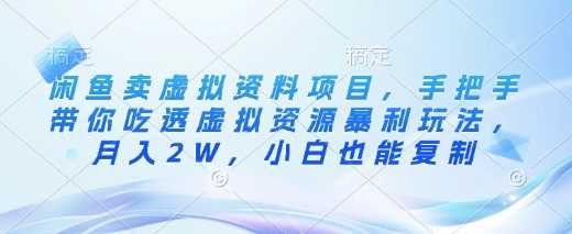 闲鱼卖虚拟资料项目,手把手带你吃透虚拟资源暴利玩法,月入2W,小白也能复制-轻创社项目网