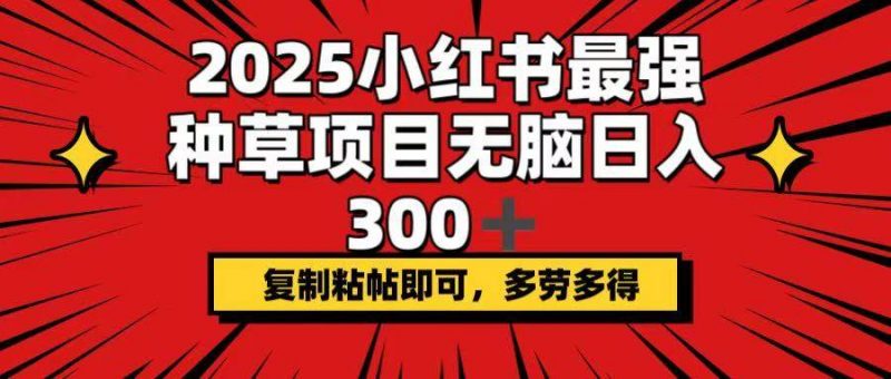 (14375期)2025小红书最强种草项目,无脑日入300+,复制粘帖即可,多劳多得-轻创社项目网