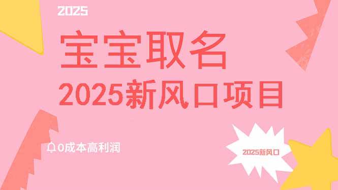 (14593期)2025新风口项目宝宝取名,0成本高利润,附保姆级教程,月入过万不是梦-轻创社项目网