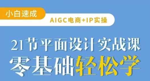 AIGC电商必备实操21节平面设计实战课,教你玩转AI-轻创社项目网