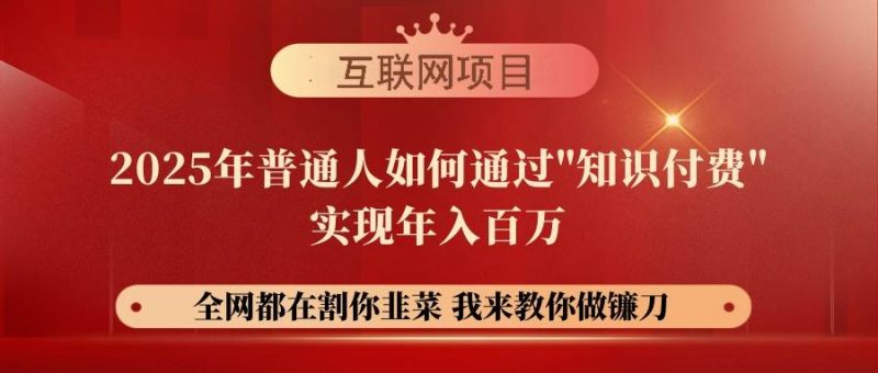 (14466期)【网创项目终点站-镰刀训练营超级IP合伙人】25年普通人如何通过“知识…-轻创社项目网