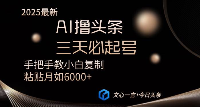 (14102期)AI撸头条三天必起号手把手教小白复制粘贴月入6000+教程-轻创社项目网
