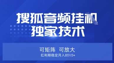 【搜狐音频挂G】独家技术,可矩阵可放大,红利期稳定月入8k【揭秘】-轻创社项目网