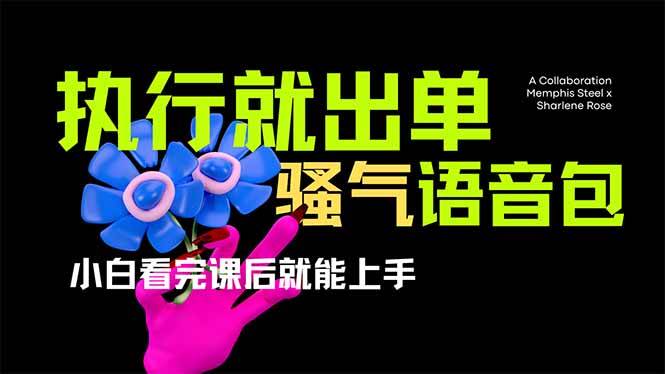 (14170期)爆火全网的开车导航骚气语音包,只要执行就出单,小白看完课程就能实操…-轻创社项目网