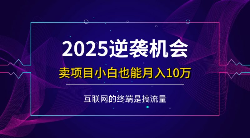(14122期)项目标题:2025逆袭机会,卖项目小白也能轻松月入10万+-轻创社项目网