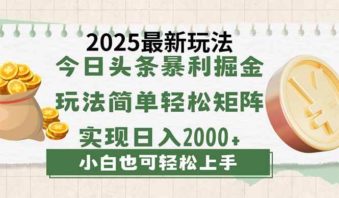 (14120期)今日头条2025最新玩法,思路简单,复制粘贴,轻松实现矩阵日入2000+-轻创社项目网