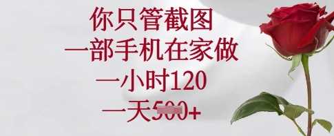 你只管截图,一部手机在家做,一小时120.一天5张【揭秘】-轻创社项目网