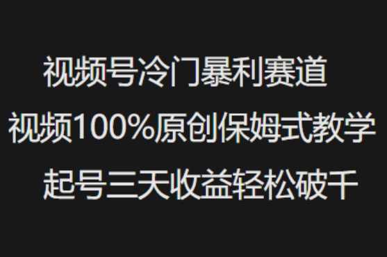 视频号冷门暴利赛道视频100%原创保姆式教学起号三天收益轻松破千-轻创社项目网