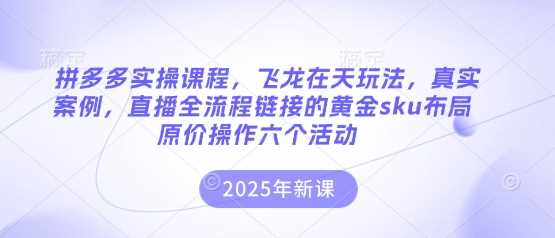 拼多多实操课程,飞龙在天玩法,真实案例,直播全流程链接的黄金sku布局原价操作六个活动-轻创社项目网