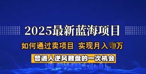 2025蓝海项目，普通人如何通过卖项目，实现月入过W，全过程【揭秘】-轻创社项目网