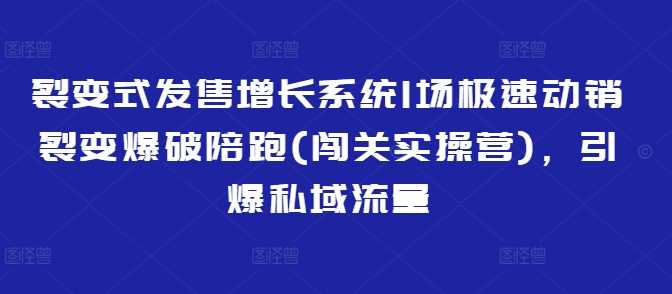 裂变式发售增长系统1场极速动销裂变爆破陪跑(闯关实操营),引爆私域流量-轻创社项目网